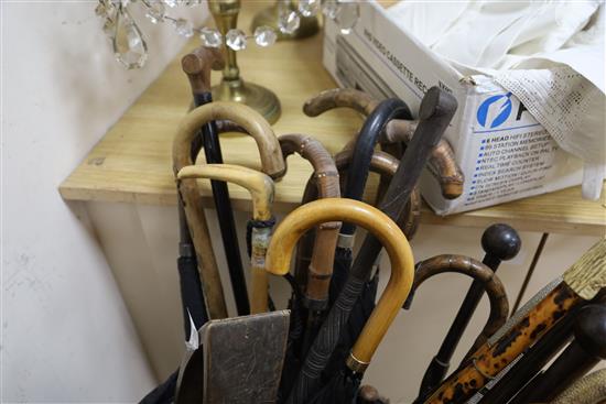 A large collection of walking sticks and umbrellas,